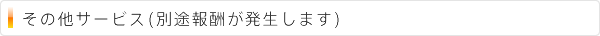 その他サービス(別途報酬が発生します)